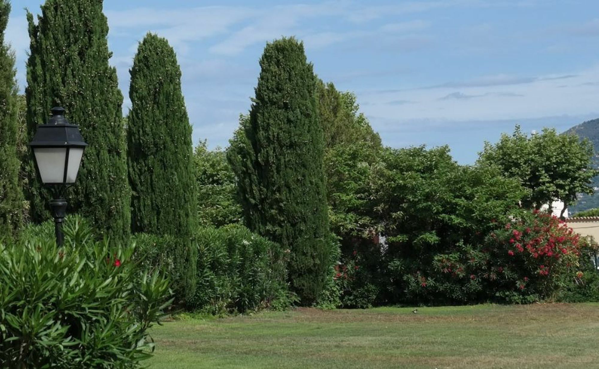 Apartment In Saint-tropez, With Wonderful Park View, Terrace, Pool Access Saint-Tropez